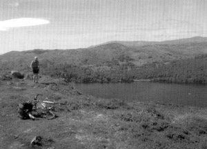 view from High Nibthwaite track