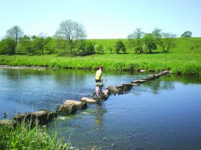 crossing the stones