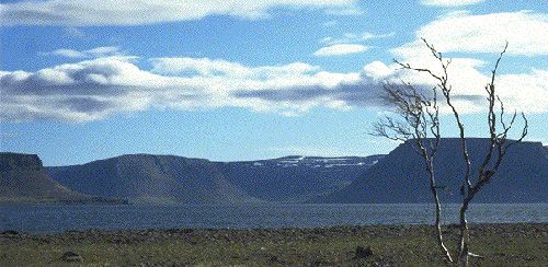 Looking across Arnafjördur