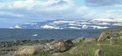 On the north shore of Ísafjardardjúp