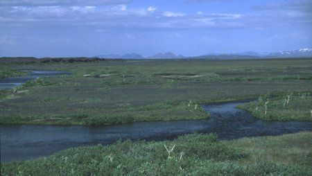 Herðubreiðarlindir