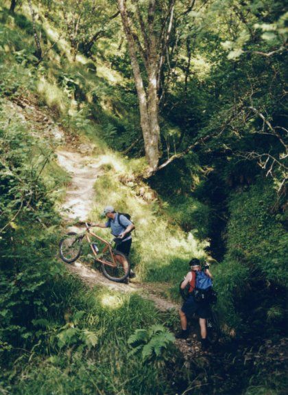 gully near Ardintoul